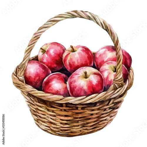 watercolor vector of Water Apple Basket, isolated on a white background.
