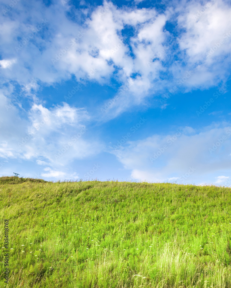 Field of grass with a clear blue sky above Field of grass with a clear blue sky above