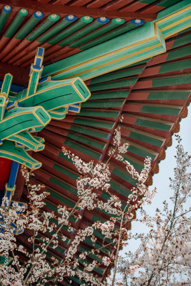 Obraz premium traditional chinese roof