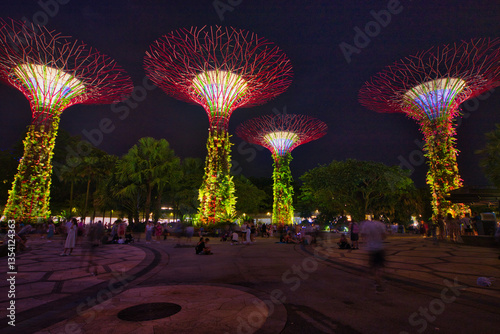 Supertree Grove - Gardens by the Bay