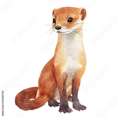 Weasel, watercolor vector, isolated on a white background.