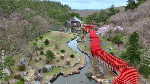 drone shot of red torii gates in Takayama Inari shrine in Tsugaru, Aomori, zen Japanese landscape in spring, Japanese culture and shinto religion