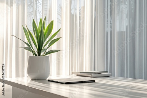 A sleek desk with a potted plant in a white ceramic pot, a clean workspace, and soft, diffused sunlight filtering through sheer curtains