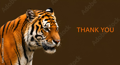 Majestic Tiger Showing Appreciation on Dark Brown Background