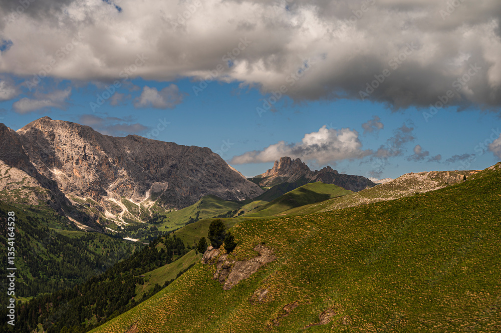 Obraz premium nature sceneries along the trail starting from Col Rodella and crossing Val Duron, Val di Fassa, Dolomites, Italy