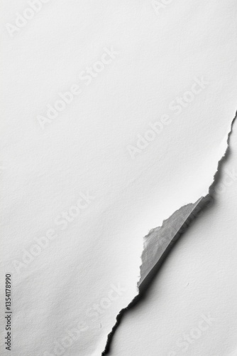 Single piece of white paper with torn edge on a clean white background perfect for minimalist art and design