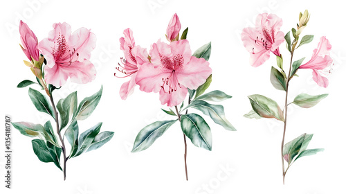 Three pink flowers with green leaves