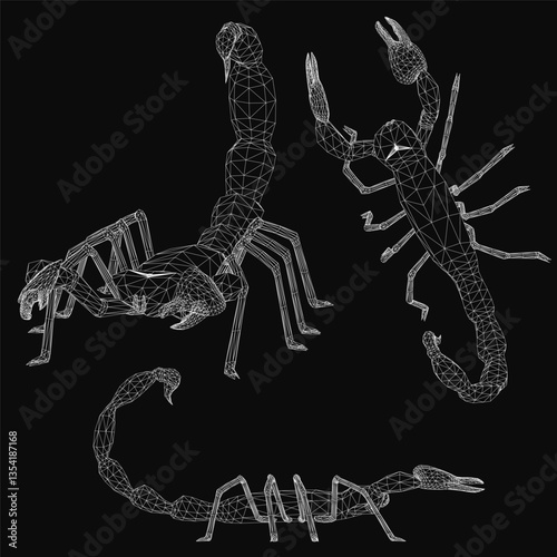 Three black and white drawings of scorpions. The first one is a close up of a scorpion with its legs spread out