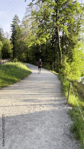 Wallpaper Mural walk in the park Torontodigital.ca