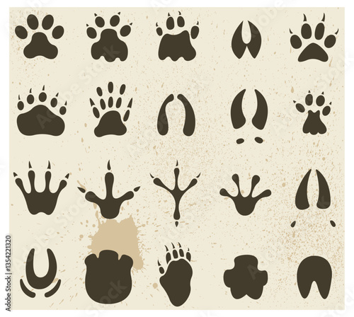 muddy footprints of animals.eps