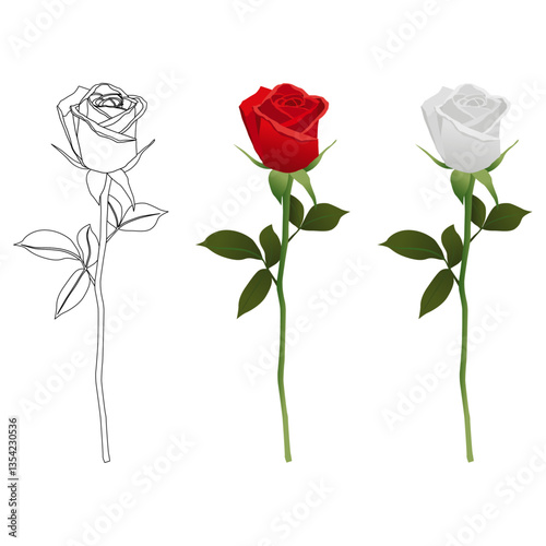 rose vector