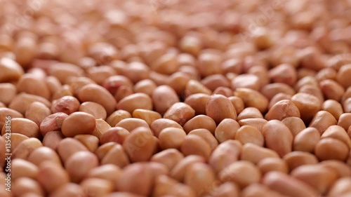 Forward Flow of Natural Peanut. A Visual Feast of Organic Texture. Experience the steady forward movement through a blanket of organic peanuts