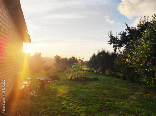 Tableau sur toile Sunlight casts a warm glow over an orchard during late afternoon in a serene gar