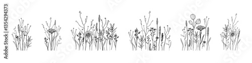 Hand drawn set, isolated compositions of wild field flora, flowers, herbs, plants, branches, Minimal botanical line art for nature backdrop, tattoo, invitations, floral border, place for text, banner