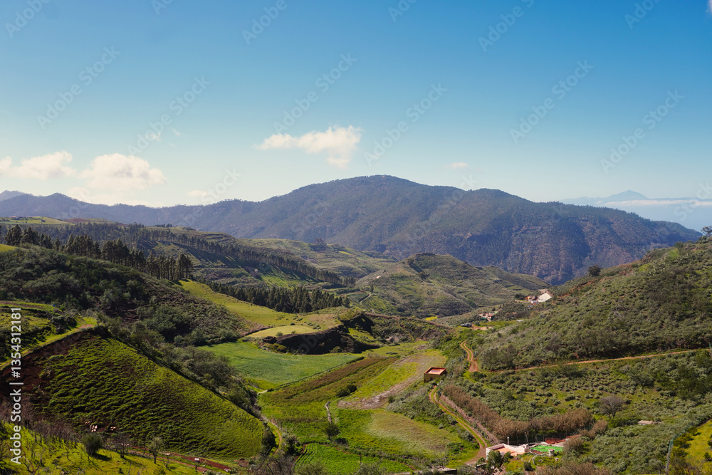 Naklejka premium Views of the peaks of Gran Canaria, during the winter, when a green blanket covers everything.