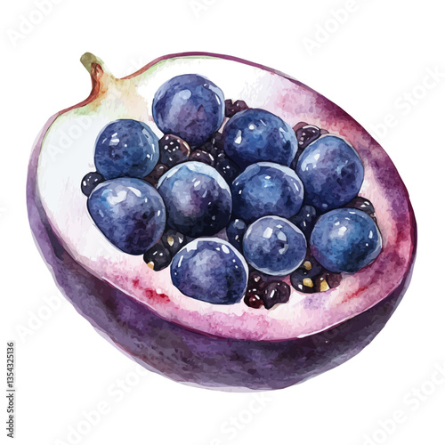 watercolor vector of Acai Berry Slice, isolated on a white background.