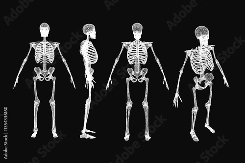 Four skeletons are shown in a row, each with a different pose. The skeletons are all white and appear to be in a museum or art exhibit. Scene is eerie and somewhat unsettling