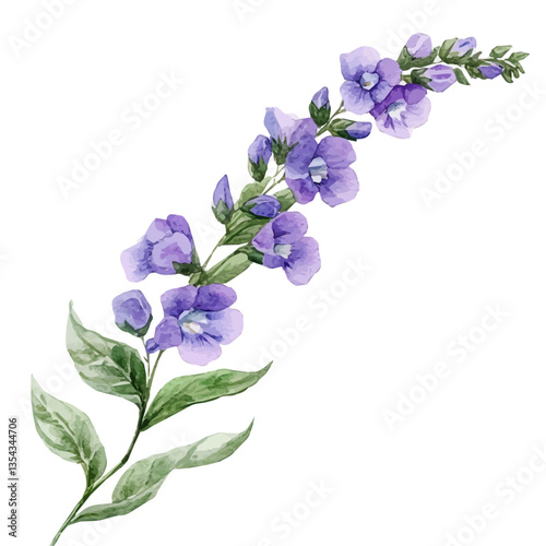 Angelonia Branch, watercolor vector, high quality, isolated on a white background.