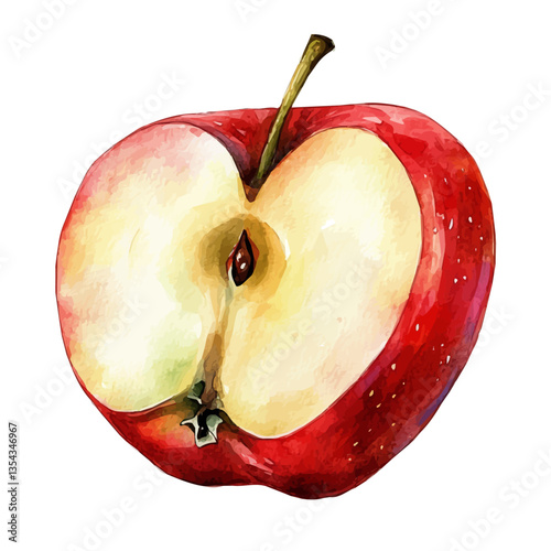 watercolor vector of Apple Slice, isolated on a white background.