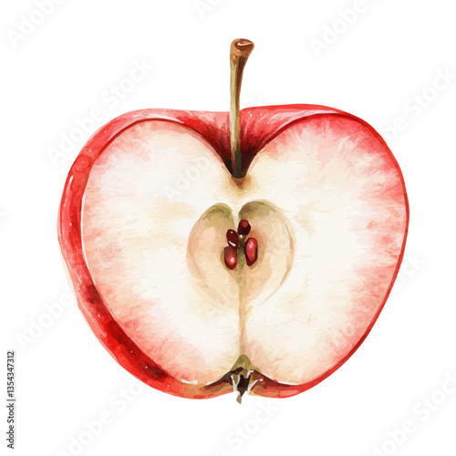 Apple Slice, watercolor vector, isolated on a white background.