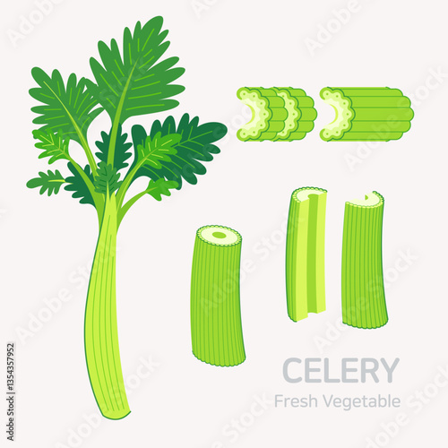 Celery set. Flat style graphic. Vector format.