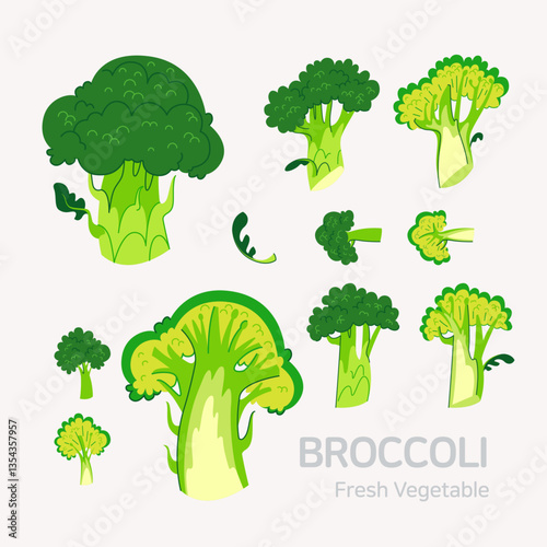 Broccoli set. Flat style graphic. Vector format.