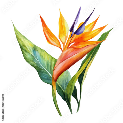 watercolor vector of Bird Of Paradise Branch, high quality, isolated on a white background.