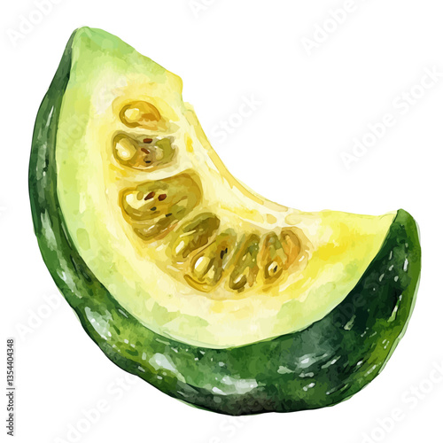 watercolor vector of Bitter Gourd Slice, isolated on a white background.