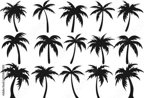 Set of Black and White Palm Tree Silhouettes