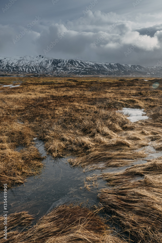 Iceland's diverse landscape features majestic mountains, dramatic coastlines, glaciers, and volcanic fields. A land of contrasts, where fire meets ice, offering breathtaking views for nature and trave