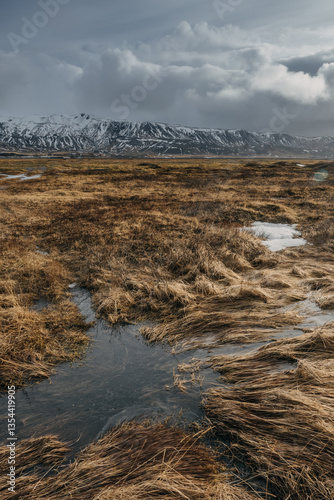 Obraz na płótnie Iceland's diverse landscape features majestic mountains, dramatic coastlines, glaciers, and volcanic fields. A land of contrasts, where fire meets ice, offering breathtaking views for nature and trave w salonie