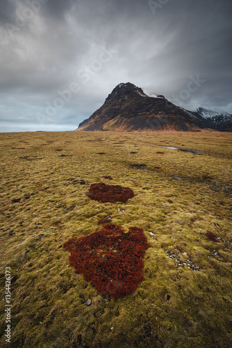 Iceland's diverse landscape features majestic mountains, dramatic coastlines, glaciers, and volcanic fields. A land of contrasts, where fire meets ice, offering breathtaking views for nature and trave
