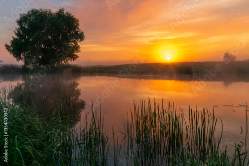 Obraz na plátně sunset on the river