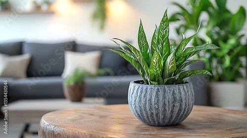 Green plant in gray pot on wooden table.