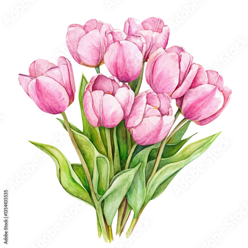 Bouquet Of Pink Tulips, watercolor illustration, isolated on a white background.