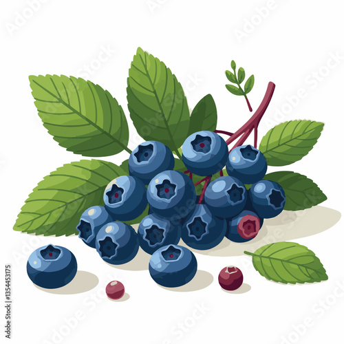 blueberry, bilberry, fresh, background, berry, food, blue, healthy, fruit, delicious, ripe, closeup, natural, white, dessert, leaves, organic, raw, sweet, vegetarian, berries, huckleberry, nutrition, 