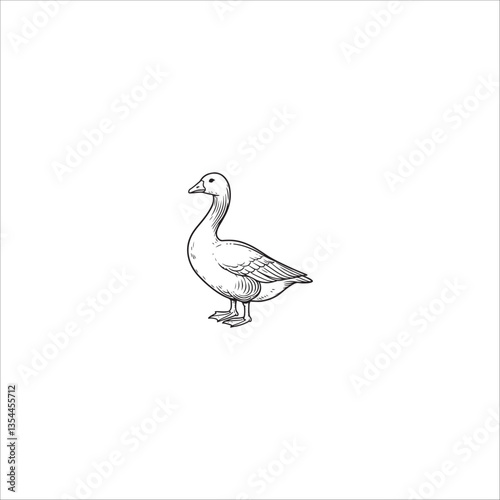 duck drawing artwork handmade illustration