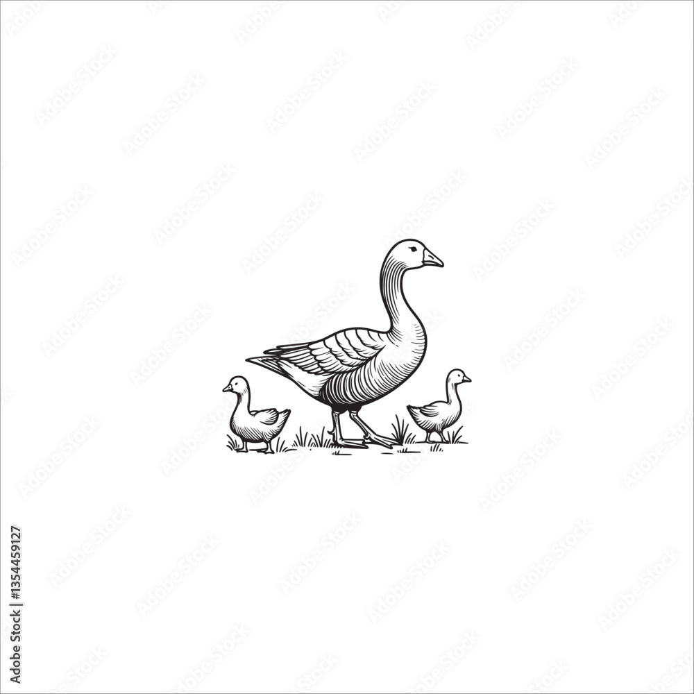 duck drawing artwork handmade illustration duck drawing artwork handmade illustration