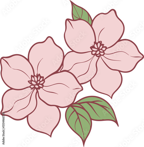 Delicate pink flowers in dogwood blossom with green leaves illustration