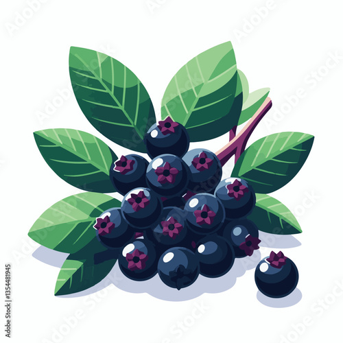 chokeberry, nature, leaf, plant, aronia, berry, fruit, black, ripe, branch, food, green, fresh, healthy, natural, garden, background, nutrition, organic, bush, berries, autumn, raw, closeup, leaves, h