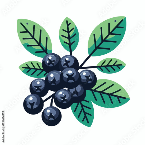 chokeberry, nature, leaf, plant, aronia, berry, fruit, black, ripe, branch, food, green, fresh, healthy, natural, garden, background, nutrition, organic, bush, berries, autumn, raw, closeup, leaves, h