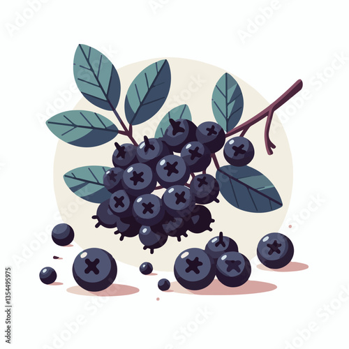 chokeberry, nature, leaf, plant, aronia, berry, fruit, black, ripe, branch, food, green, fresh, healthy, natural, garden, background, nutrition, organic, bush, berries, autumn, raw, closeup, leaves, h