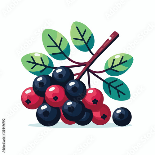 chokeberry, nature, leaf, plant, aronia, berry, fruit, black, ripe, branch, food, green, fresh, healthy, natural, garden, background, nutrition, organic, bush, berries, autumn, raw, closeup, leaves, h