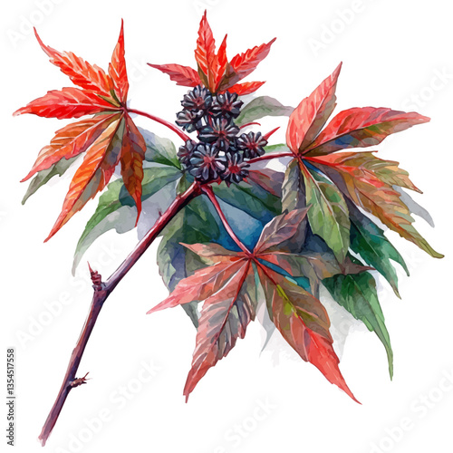 Castor Bean Branch, watercolor vector, isolated on a white background.