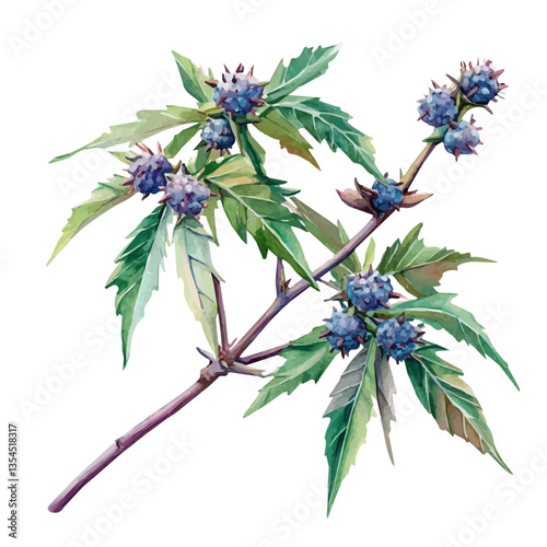 Castor Bean Branch, watercolor illustration, isolated on a white background.