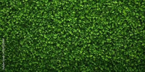 A dense, vibrant green wall of leaves, creating a lush, natural backdrop.