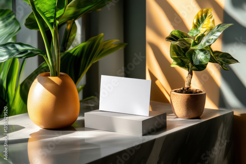Elegant blank card displayed on modern table with green plants in natural light