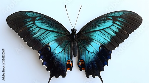86. A butterfly with vivid turquoise wings and a smooth texture, isolated against a white backdrop photo