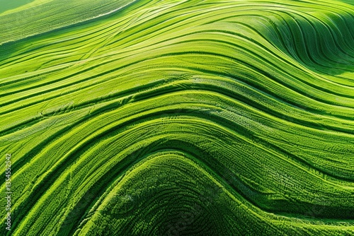 Vibrant Image of Aerial View of Green Agricultural Field on Sunny Day
