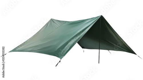 Shelter in the Wild: A green tarp, meticulously set up to provide shelter, stands as a testament to resilience and resourcefulness in the face of the great outdoors. photo